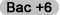 Bac + 6